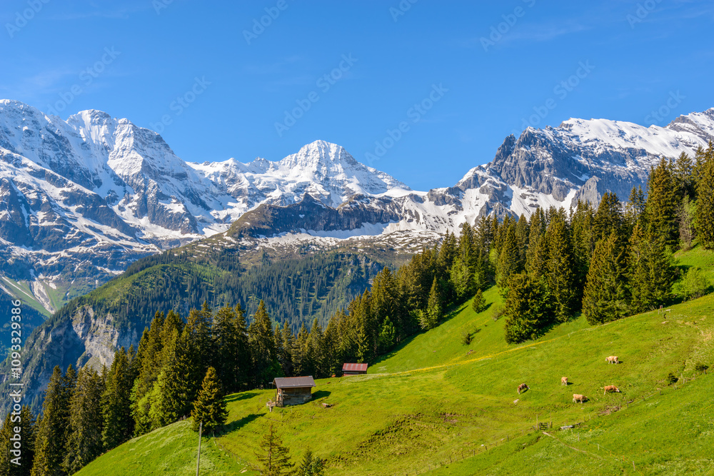 Φωτογραφία View of beautiful landscape in the Alps with fresh green meadows and snow-capped mountain tops in the background on a sunny day with blue sky and clouds in springtime