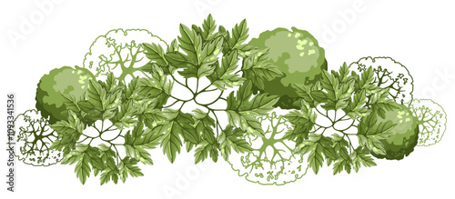Maple group of trees for architectural floor plans. Top view element. Entourage design for the landscape design plan. Vector illustration.