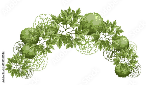 Maple group of trees for architectural floor plans. Top view element. Entourage design for the landscape design plan. Vector illustration.