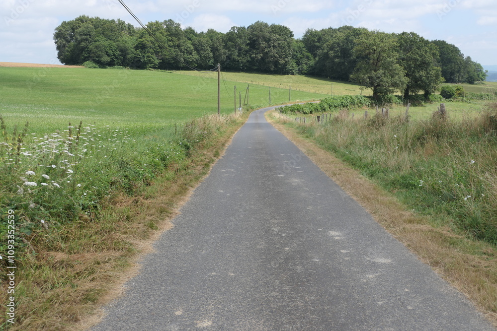 A sunlit, winding road in France, lined with lush green trees, weaving through a vibrant summer landscape. A sunlit, winding road in France, lined with lush green trees, weaving through a vibrant summer landscape.