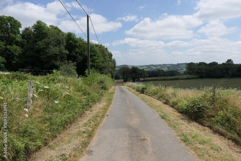 A sunlit, winding road in France, lined with lush green trees, weaving through a vibrant summer landscape. A sunlit, winding road in France, lined with lush green trees, weaving through a vibrant summer landscape.