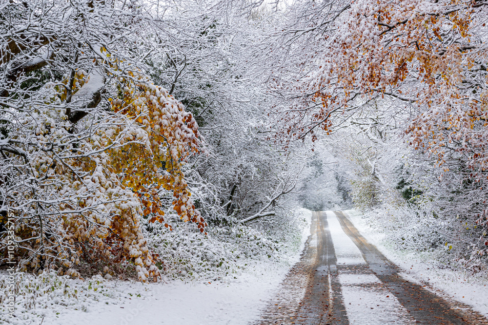 Early winter snow in November on a country lane near the Cotswold village of Taddington, Gloucestershire, England UK
