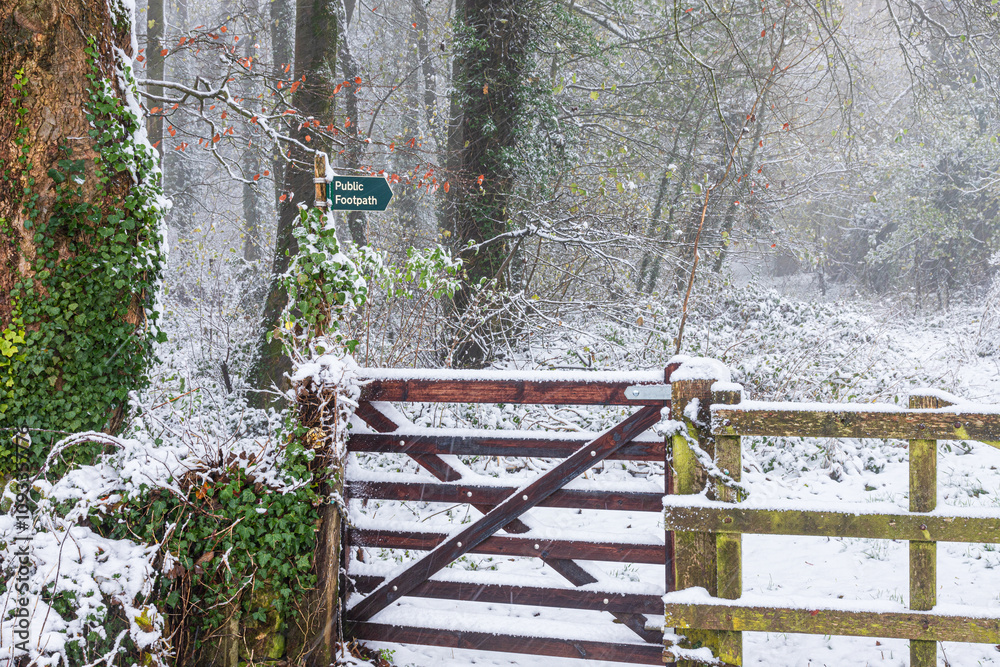 Early winter snow falling in November on a public footpath near the Cotswold village of Snowshill, Gloucestershire, England UK