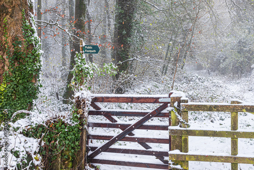 Obraz na płótnie Early winter snow falling in November on a public footpath near the Cotswold village of Snowshill, Gloucestershire, England UK w salonie