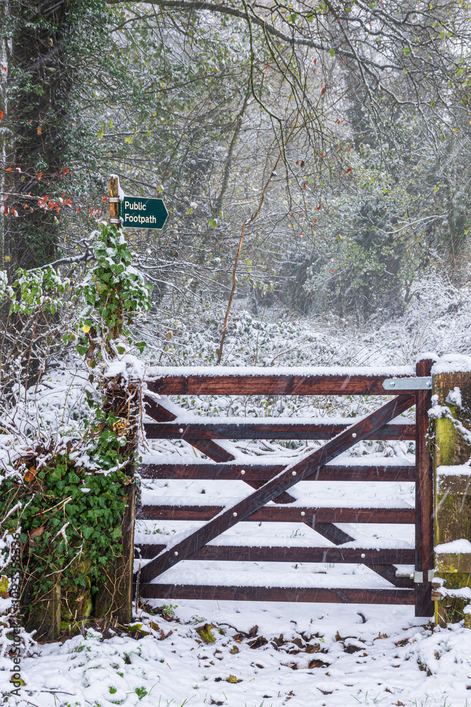 Early winter snow falling in November on a public footpath near the Cotswold village of Snowshill, Gloucestershire, England UK