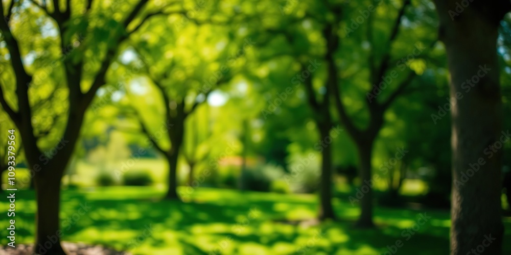 Defocused trees in a sunny garden backdrop, sun, nature, garden Defocused trees in a sunny garden backdrop, sun, nature, garden