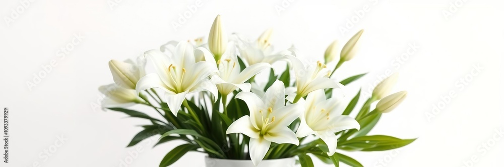 Delicate lily flowers arranged in a elegant white vase, set against a pristine white background, exuding serenity and peacefulness, white background, peacefulness Delicate lily flowers arranged in a elegant white vase, set against a pristine white background, exuding serenity and peacefulness, white background, peacefulness
