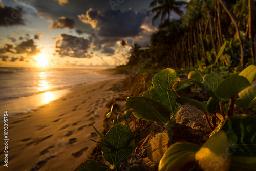 Incredible Sunset on the Coastline Breathtaking Views of Nature’s Unmatched Beauty photo