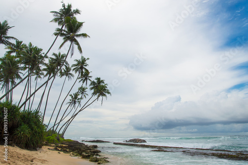 Ocean Paradise with Palm Trees Waves and Breathtaking Beauty for Ultimate Life Enjoyment and Unmatched Serenity photo