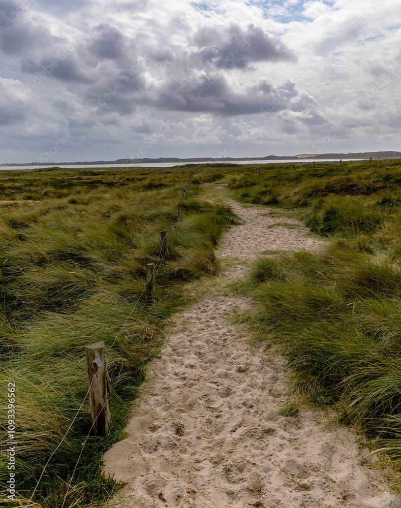 footpath through the dunes on the Ellenbogen Sylt