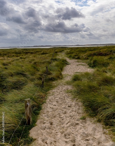 Obraz na płótnie
footpath through the dunes on the Ellenbogen Sylt w salonie