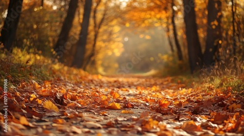 Autumn landscape featuring a serene path blanketed with vibrant orange and yellow leaves, capturing the essence of fall tranquility.
