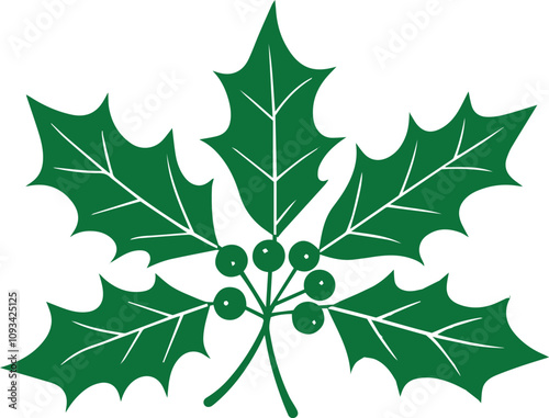green leaf isolated on white, holly leaves and berries