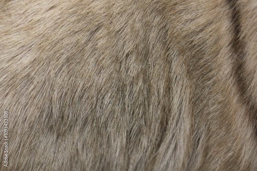 Brown goat hair