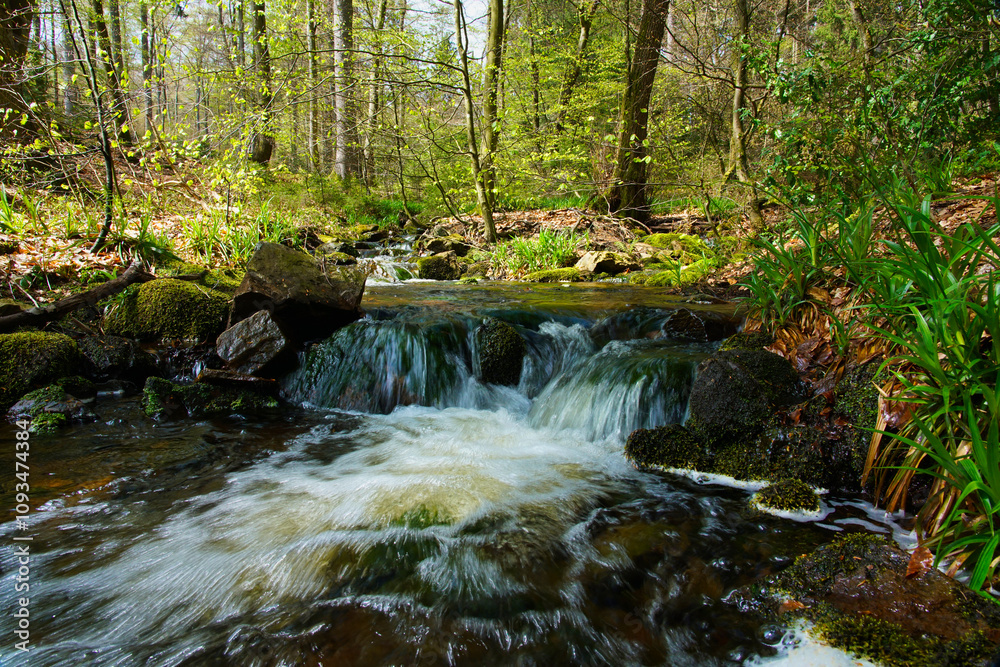 Bachlauf auf dem Premiumwanderweg Felsenweg im saarländischen Hochwald Bachlauf auf dem Premiumwanderweg Felsenweg im saarländischen Hochwald
