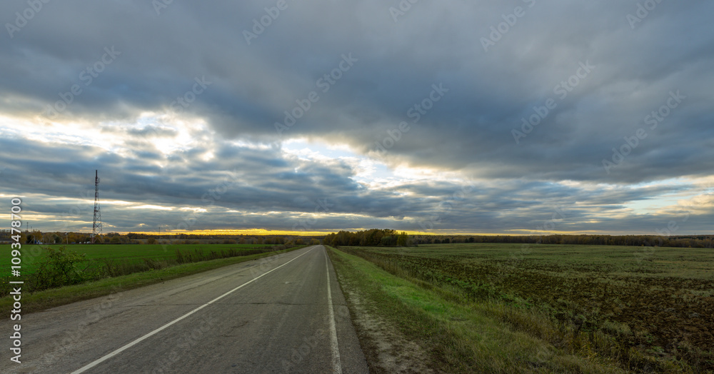 A road with a few trees in the background and a cloudy sky