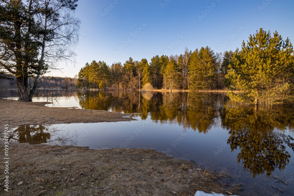 Lake with a forest in the background Lake with a forest in the background
