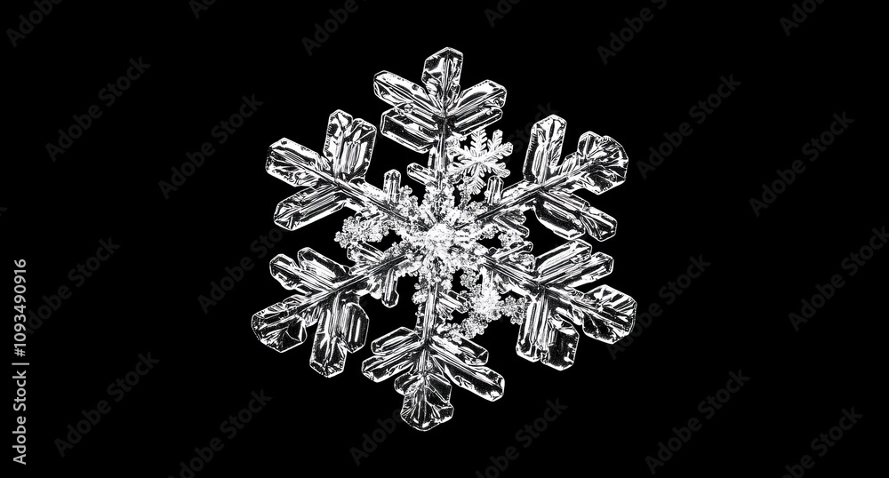 Authentic snowflakes photographed in the midst of a snowfall under natural, chilly circumstances. Authentic snowflakes photographed in the midst of a snowfall under natural, chilly circumstances.