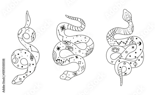 Mystical esoteric snakes illustrated in a clean linear style. The design features symbolic and abstract representations of snakes, perfect for spiritual, occult, or decorative projects.