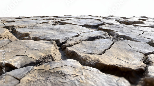 Wallpaper Mural cracked dry earth texture with realistic cracks and dusty tones Torontodigital.ca