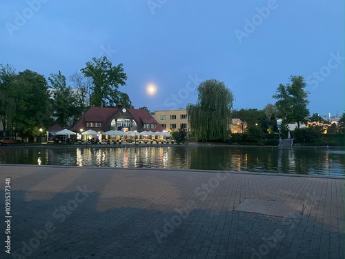 Castle Pond Opole photo