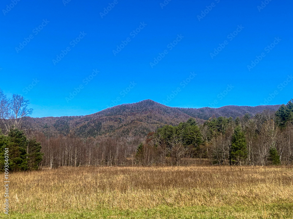 Autumn Landscape in the Mountains Autumn Landscape in the Mountains