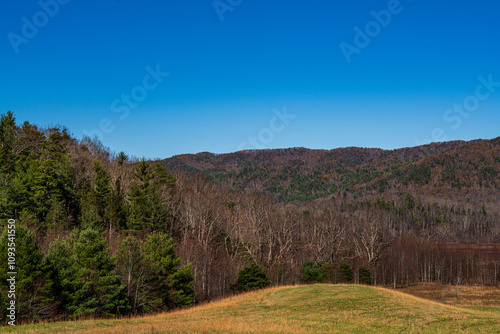 Autumn Landscape in the Mountains