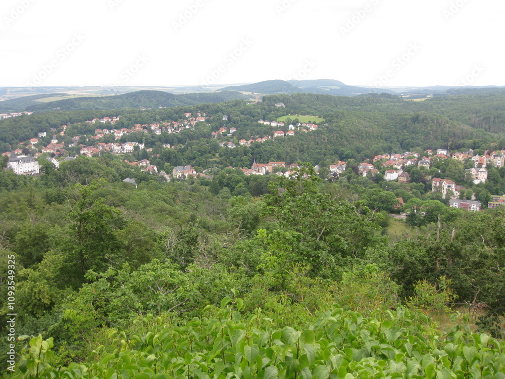 Fototapeta premium Eisenach im Grünen