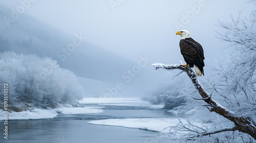 A bald eagle perched on a frosty tree branch overlooking a snowy valley with a calm icy river winding through