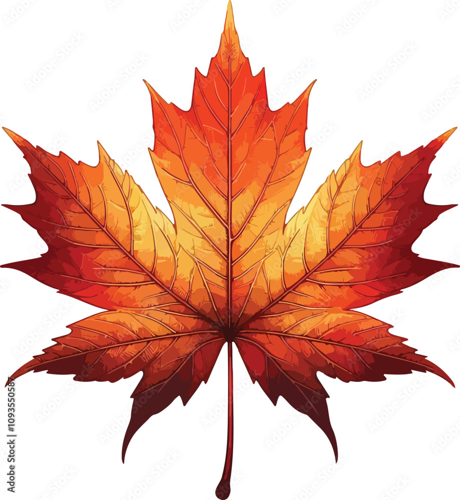 Fototapeta premium autumn leaves