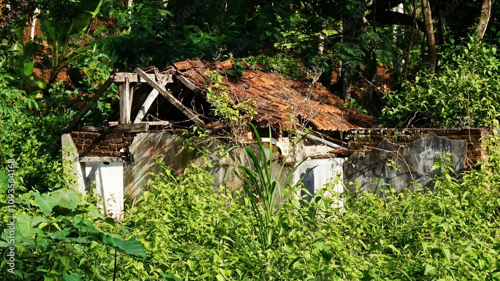 photo of an old house in the forest that is already damaged, a house that is already covered in undergrowth photo of an old house in the forest that is already damaged, a house that is already covered in undergrowth