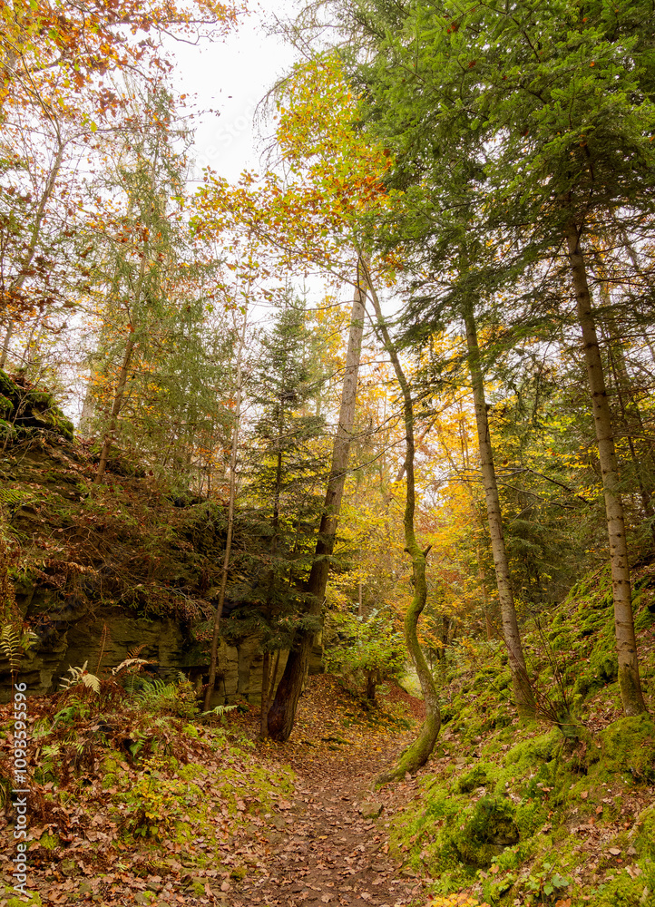 Marchensee im Schwäbischen Wald. Ein schmaler Pfad, gesäumt von totem Laub zwischen den Felsen des Steinbruchs und hohen Bäumen in Herbstfarben Marchensee im Schwäbischen Wald. Ein schmaler Pfad, gesäumt von totem Laub zwischen den Felsen des Steinbruchs und hohen Bäumen in Herbstfarben