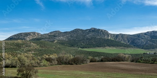 Landscape in agricultural land in Andalusia, Spain.