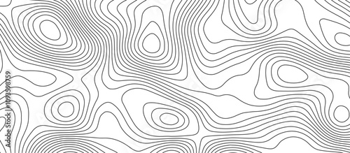  Abstract white wave paper curved reliefs background design. The black on white contours topography stylized relief diagram line wave carve pattern background.