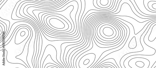  Abstract white wave paper curved reliefs background design. The black on white contours topography stylized relief diagram line wave carve pattern background.