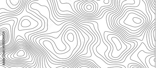  Abstract white wave paper curved reliefs background design. The black on white contours topography stylized relief diagram line wave carve pattern background.