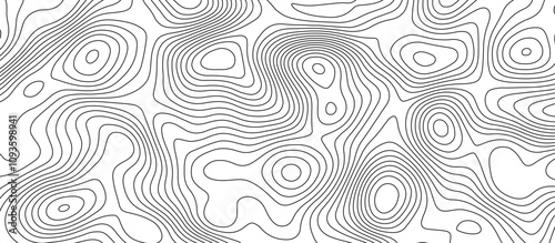  Abstract white wave paper curved reliefs background design. The black on white contours topography stylized relief diagram line wave carve pattern background.