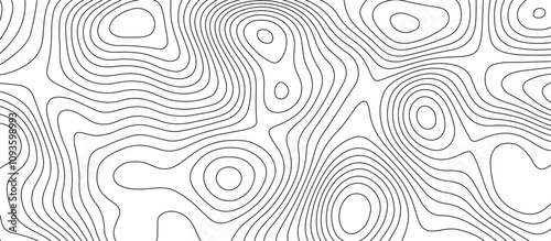  Abstract white wave paper curved reliefs background design. The black on white contours topography stylized relief diagram line wave carve pattern background.