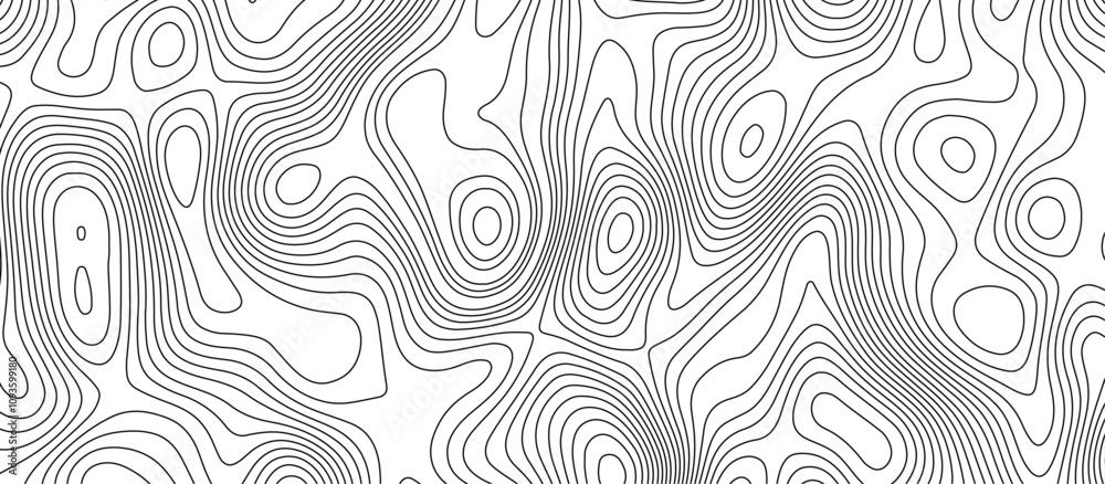 Abstract white wave paper curved reliefs background design. The black on white contours topography stylized relief diagram line wave carve pattern background. Abstract white wave paper curved reliefs background design. The black on white contours topography stylized relief diagram line wave carve pattern background.
