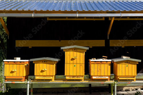 Organic traditional wooden beehives in apiary. Collection of hives with colonies of bees kept for honey under in garden.