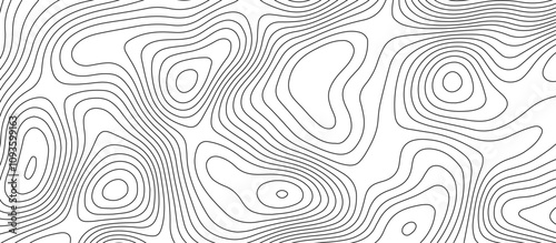  Abstract white wave paper curved reliefs background design. The black on white contours topography stylized relief diagram line wave carve pattern background.