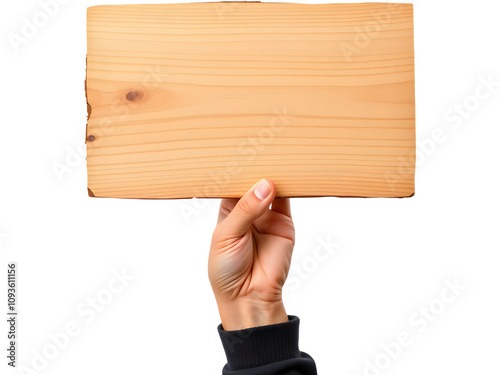 Hand holding a blank wooden sign. Perfect for your message! photo