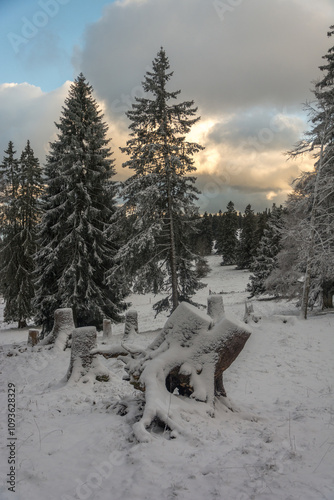 Prés de La Dame dans la Commune de Val de Ruz en Novembre 2024  ( Canton de Neuchâtel ) photo