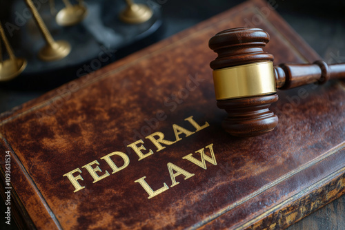 Understanding federal law and its implications in the legal system photo