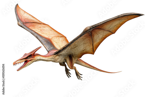 Pteranodon, a reptile that lived during the Late Cretaceous period.