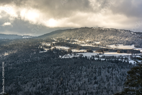 Prés de La Dame dans la Commune de Val de Ruz en Novembre 2024 ( Canton de Neuchâtel ) photo