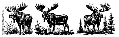 collection of moose and forest elements in black silhouette vector