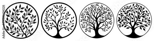 detailed tree of life graphic in minimal black and white – black vector