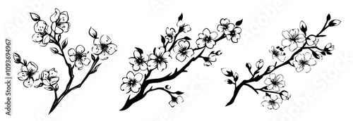 Beautiful hand-drawn floral branches – elegant botanical collection black vector