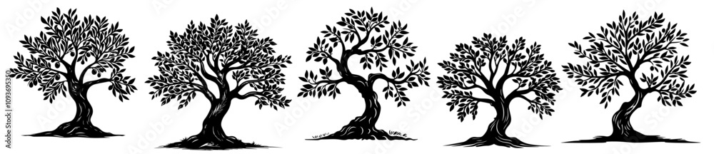 Elegant olive tree illustrations – hand-drawn black silhouette vector set Elegant olive tree illustrations – hand-drawn black silhouette vector set